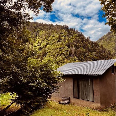 Cozy House In The Forest Боржомі Екстер'єр фото