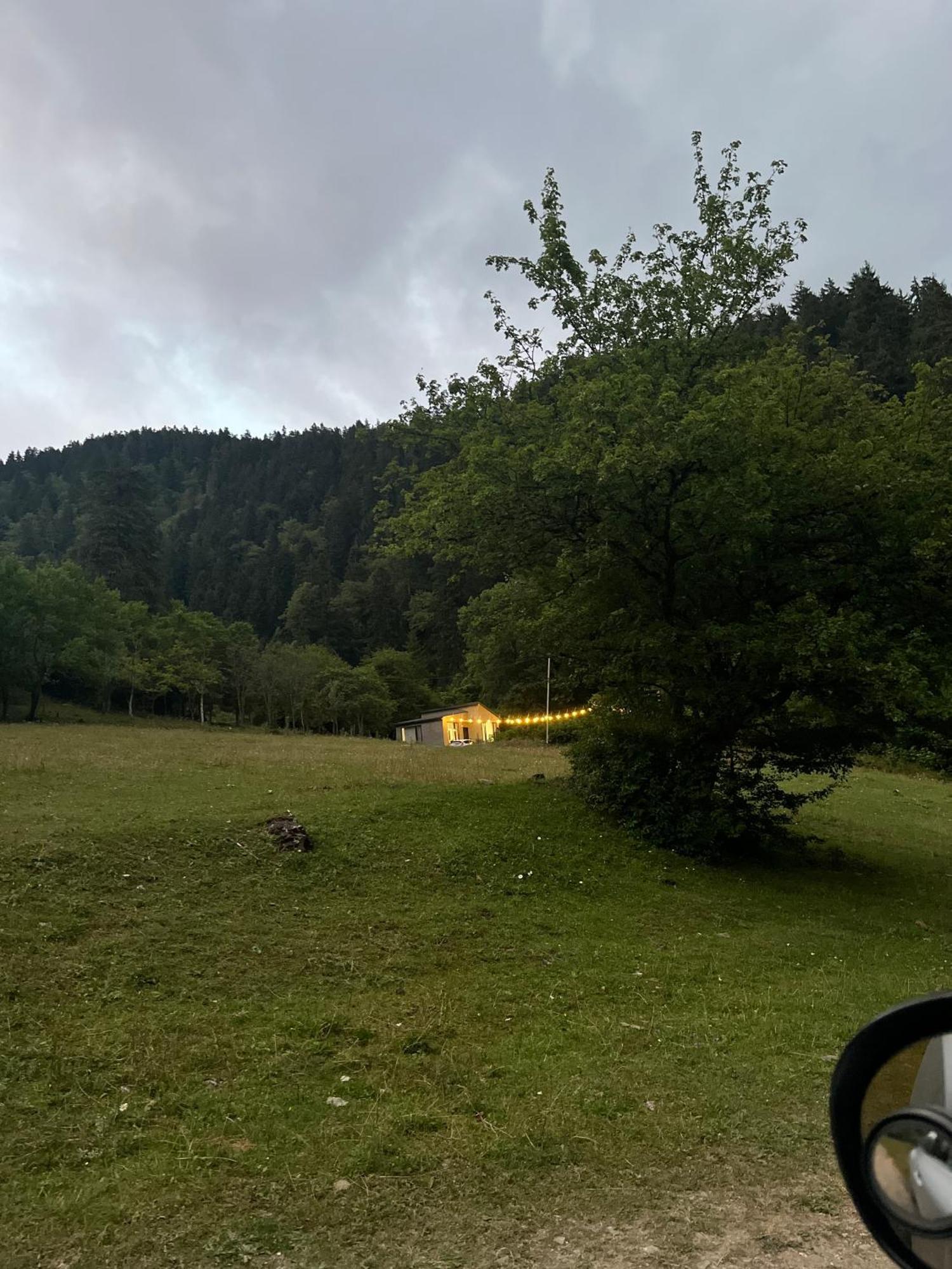 Cozy House In The Forest Боржомі Екстер'єр фото
